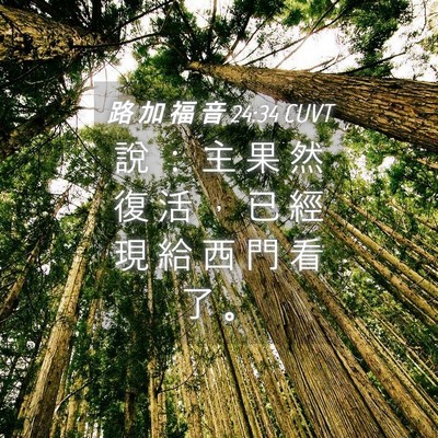 Picture 04 - 路 加 福 音 24:34 CUVT - 說 ： 主 果 然 復 活 ， 已 經 現 給 - Bible Verse Picture