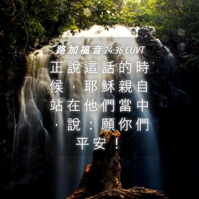 Picture 04 - 路 加 福 音 24:36 CUVT - 正 說 這 話 的 時 候 ， 耶 穌 親 自 - Bible Verse Picture