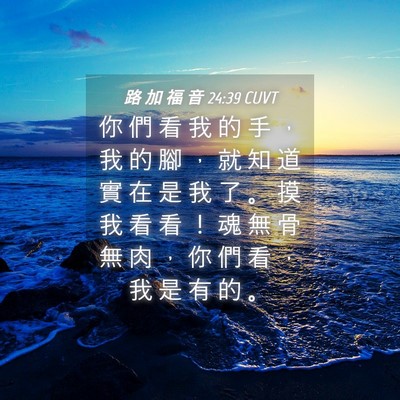 Picture 04 - 路 加 福 音 24:39 CUVT - 你 們 看 我 的 手 ， 我 的 腳 ， 就 - Bible Verse Picture