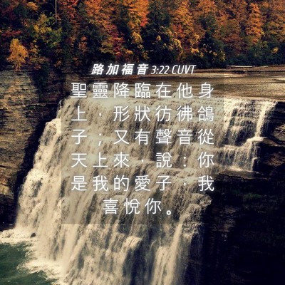 Picture 04 - 路 加 福 音 3:22 CUVT - 聖 靈 降 臨 在 他 身 上 ， 形 狀 彷 - Bible Verse Picture