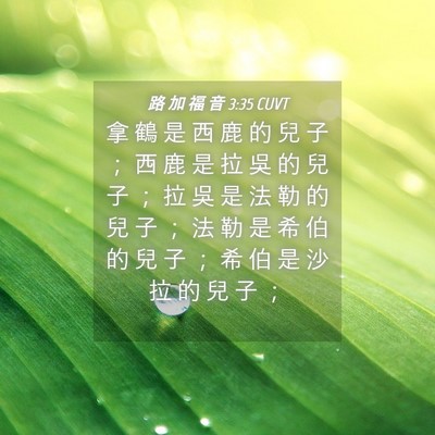 Picture 04 - 路 加 福 音 3:35 CUVT - 拿 鶴 是 西 鹿 的 兒 子 ； 西 鹿 是 - Bible Verse Picture