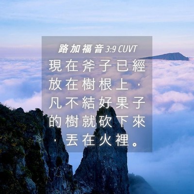 Picture 04 - 路 加 福 音 3:9 CUVT - 現 在 斧 子 已 經 放 在 樹 根 上 ， - Bible Verse Picture