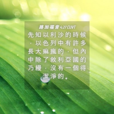 Picture 04 - 路 加 福 音 4:27 CUVT - 先 知 以 利 沙 的 時 候 ， 以 色 列 - Bible Verse Picture