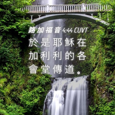 Picture 04 - 路 加 福 音 4:44 CUVT - 於 是 耶 穌 在 加 利 利 的 各 會 堂 - Bible Verse Picture