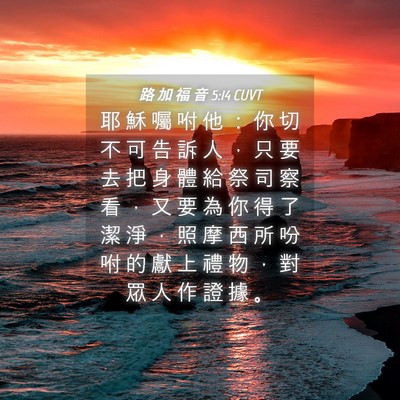 Picture 04 - 路 加 福 音 5:14 CUVT - 耶 穌 囑 咐 他 ： 你 切 不 可 告 訴 - Bible Verse Picture