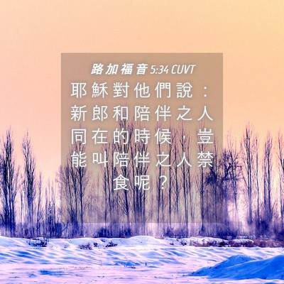 Picture 04 - 路 加 福 音 5:34 CUVT - 耶 穌 對 他 們 說 ： 新 郎 和 陪 伴 - Bible Verse Picture