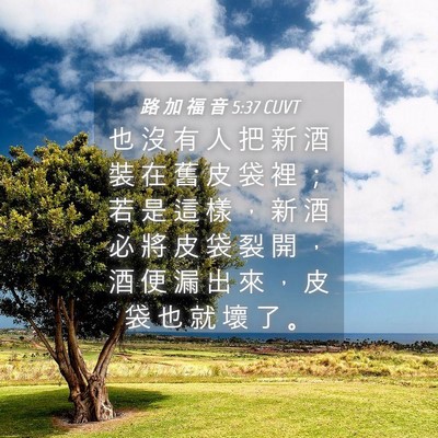 Picture 04 - 路 加 福 音 5:37 CUVT - 也 沒 有 人 把 新 酒 裝 在 舊 皮 袋 - Bible Verse Picture
