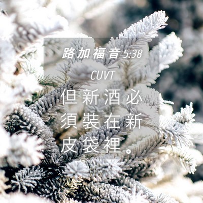 Picture 04 - 路 加 福 音 5:38 CUVT - 但 新 酒 必 須 裝 在 新 皮 袋 裡 - Bible Verse Picture