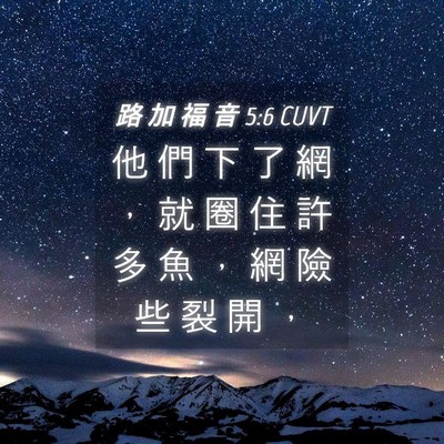 Picture 04 - 路 加 福 音 5:6 CUVT - 他 們 下 了 網 ， 就 圈 住 許 多 魚 - Bible Verse Picture