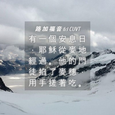 Picture 04 - 路 加 福 音 6:1 CUVT - 有 一 個 安 息 日 ， 耶 穌 從 麥 地 - Bible Verse Picture