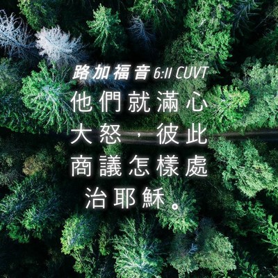 Picture 04 - 路 加 福 音 6:11 CUVT - 他 們 就 滿 心 大 怒 ， 彼 此 商 議 - Bible Verse Picture