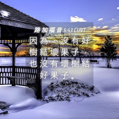 Picture 04 - 路 加 福 音 6:43 CUVT - 因 為 ， 沒 有 好 樹 結 壞 果 子 ， - Bible Verse Picture