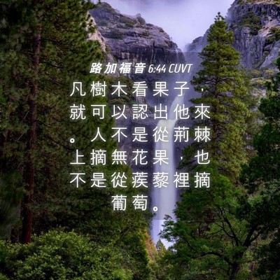 Picture 04 - 路 加 福 音 6:44 CUVT - 凡 樹 木 看 果 子 ， 就 可 以 認 出 - Bible Verse Picture