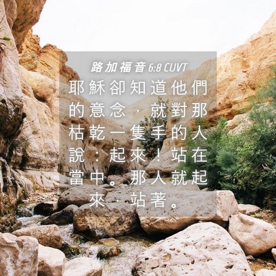 Picture 04 - 路 加 福 音 6:8 CUVT - 耶 穌 卻 知 道 他 們 的 意 念 ， 就 - Bible Verse Picture