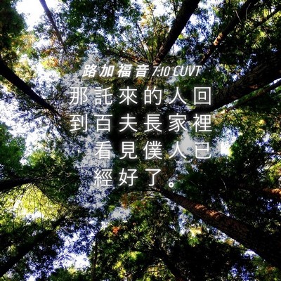 Picture 04 - 路 加 福 音 7:10 CUVT - 那 託 來 的 人 回 到 百 夫 長 家 裡 - Bible Verse Picture
