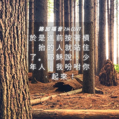 Picture 04 - 路 加 福 音 7:14 CUVT - 於 是 進 前 按 著 槓 ， 抬 的 人 就 - Bible Verse Picture