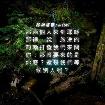 Picture 04 - 路 加 福 音 7:20 CUVT - 那 兩 個 人 來 到 耶 穌 那 裡 ， 說 - Bible Verse Picture