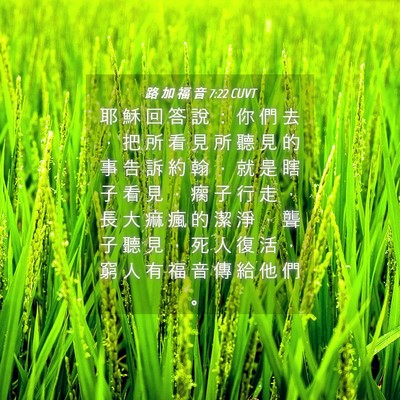 Picture 04 - 路 加 福 音 7:22 CUVT - 耶 穌 回 答 說 ： 你 們 去 ， 把 所 - Bible Verse Picture