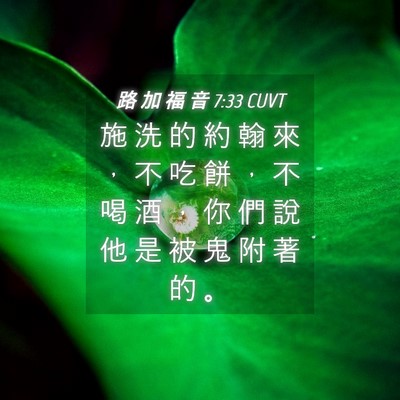 Picture 04 - 路 加 福 音 7:33 CUVT - 施 洗 的 約 翰 來 ， 不 吃 餅 ， 不 - Bible Verse Picture