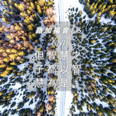 Picture 04 - 路 加 福 音 7:35 CUVT - 但 智 慧 之 子 都 以 智 慧 為 是 - Bible Verse Picture