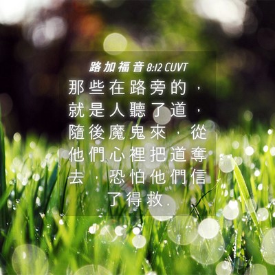 Picture 04 - 路 加 福 音 8:12 CUVT - 那 些 在 路 旁 的 ， 就 是 人 聽 了 - Bible Verse Picture
