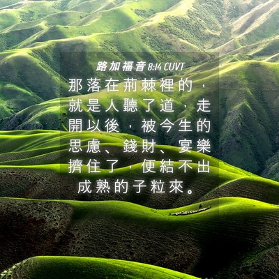 Picture 04 - 路 加 福 音 8:14 CUVT - 那 落 在 荊 棘 裡 的 ， 就 是 人 聽 - Bible Verse Picture