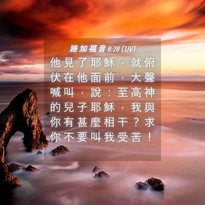 Picture 04 - 路 加 福 音 8:28 CUVT - 他 見 了 耶 穌 ， 就 俯 伏 在 他 面 - Bible Verse Picture