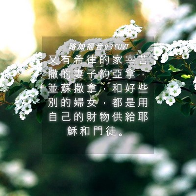 Picture 04 - 路 加 福 音 8:3 CUVT - 又 有 希 律 的 家 宰 苦 撒 的 妻 子 - Bible Verse Picture