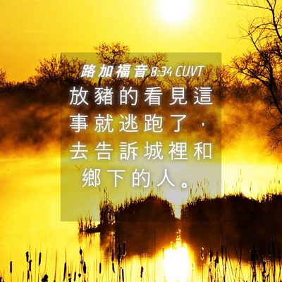 Picture 04 - 路 加 福 音 8:34 CUVT - 放 豬 的 看 見 這 事 就 逃 跑 了 ， - Bible Verse Picture