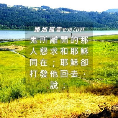 Picture 04 - 路 加 福 音 8:38 CUVT - 鬼 所 離 開 的 那 人 懇 求 和 耶 穌 - Bible Verse Picture