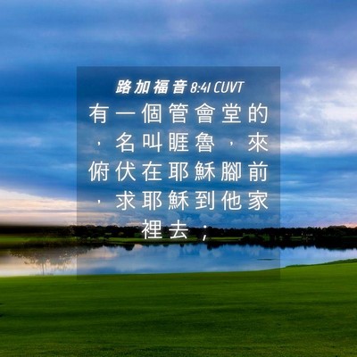 Picture 04 - 路 加 福 音 8:41 CUVT - 有 一 個 管 會 堂 的 ， 名 叫 睚 魯 - Bible Verse Picture