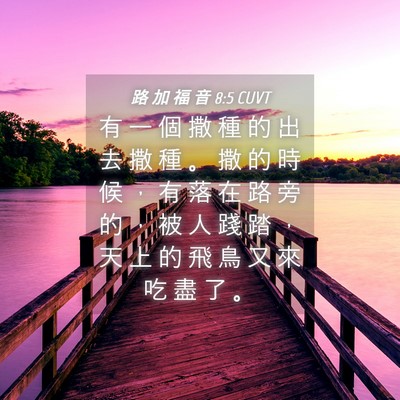 Picture 04 - 路 加 福 音 8:5 CUVT - 有 一 個 撒 種 的 出 去 撒 種 。 撒 - Bible Verse Picture