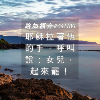 Picture 04 - 路 加 福 音 8:54 CUVT - 耶 穌 拉 著 他 的 手 ， 呼 叫 說 ： - Bible Verse Picture