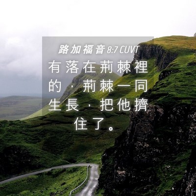 Picture 04 - 路 加 福 音 8:7 CUVT - 有 落 在 荊 棘 裡 的 ， 荊 棘 一 同 - Bible Verse Picture