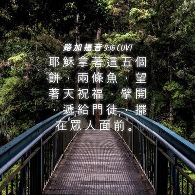 Picture 04 - 路 加 福 音 9:16 CUVT - 耶 穌 拿 著 這 五 個 餅 ， 兩 條 魚 - Bible Verse Picture