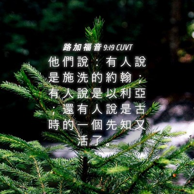 Picture 04 - 路 加 福 音 9:19 CUVT - 他 們 說 ： 有 人 說 是 施 洗 的 約 - Bible Verse Picture