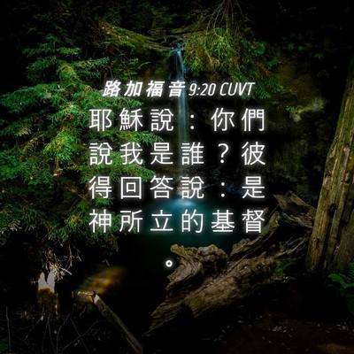 Picture 04 - 路 加 福 音 9:20 CUVT - 耶 穌 說 ： 你 們 說 我 是 誰 ？ 彼 - Bible Verse Picture