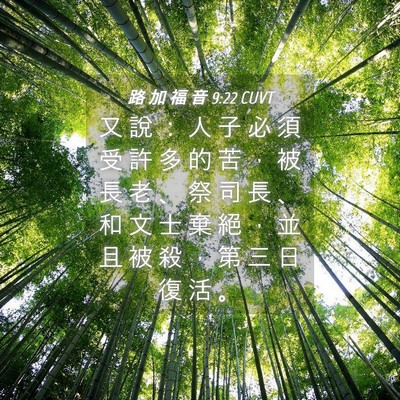 Picture 04 - 路 加 福 音 9:22 CUVT - 又 說 ： 人 子 必 須 受 許 多 的 苦 - Bible Verse Picture