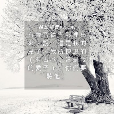 Picture 04 - 路 加 福 音 9:35 CUVT - 有 聲 音 從 雲 彩 裡 出 來 ， 說 ： - Bible Verse Picture