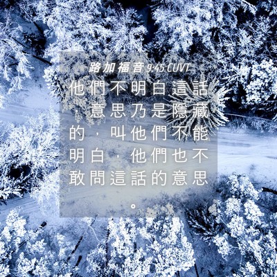 Picture 04 - 路 加 福 音 9:45 CUVT - 他 們 不 明 白 這 話 ， 意 思 乃 是 - Bible Verse Picture