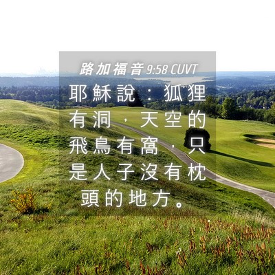 Picture 04 - 路 加 福 音 9:58 CUVT - 耶 穌 說 ： 狐 狸 有 洞 ， 天 空 的 - Bible Verse Picture