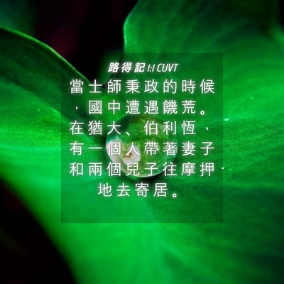 Picture 04 - 路 得 記 1:1 CUVT - 當 士 師 秉 政 的 時 候 ， 國 中 遭 - Bible Verse Picture