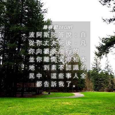 Picture 04 - 路 得 記 2:11 CUVT - 波 阿 斯 回 答 說 ： 自 從 你 丈 夫 - Bible Verse Picture
