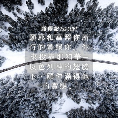 Picture 04 - 路 得 記 2:12 CUVT - 願 耶 和 華 照 你 所 行 的 賞 賜 你 - Bible Verse Picture