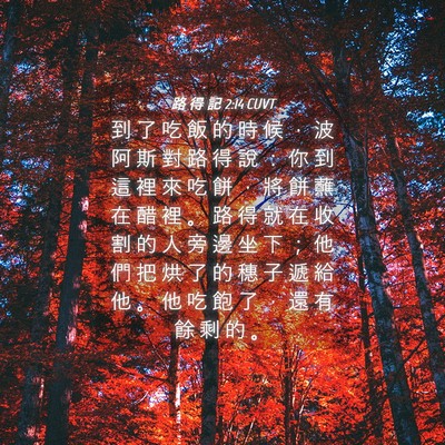 Picture 04 - 路 得 記 2:14 CUVT - 到 了 吃 飯 的 時 候 ， 波 阿 斯 對 - Bible Verse Picture