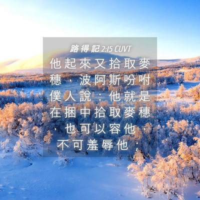 Picture 04 - 路 得 記 2:15 CUVT - 他 起 來 又 拾 取 麥 穗 ， 波 阿 斯 - Bible Verse Picture