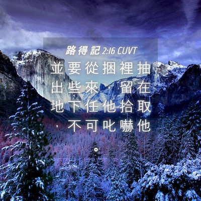 Picture 04 - 路 得 記 2:16 CUVT - 並 要 從 捆 裡 抽 出 些 來 ， 留 在 - Bible Verse Picture