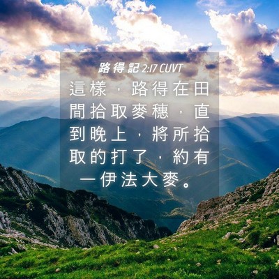 Picture 04 - 路 得 記 2:17 CUVT - 這 樣 ， 路 得 在 田 間 拾 取 麥 穗 - Bible Verse Picture