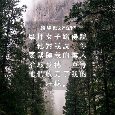 Picture 04 - 路 得 記 2:21 CUVT - 摩 押 女 子 路 得 說 ： 他 對 我 說 - Bible Verse Picture