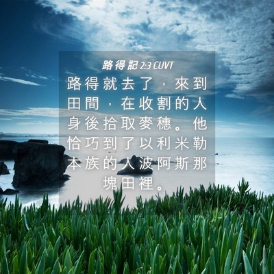 Picture 04 - 路 得 記 2:3 CUVT - 路 得 就 去 了 ， 來 到 田 間 ， 在 - Bible Verse Picture